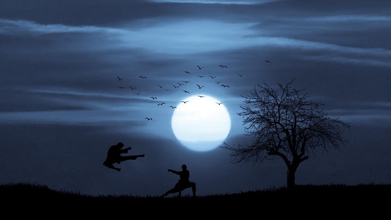 Tai Chi Martial Arts Kung Fu